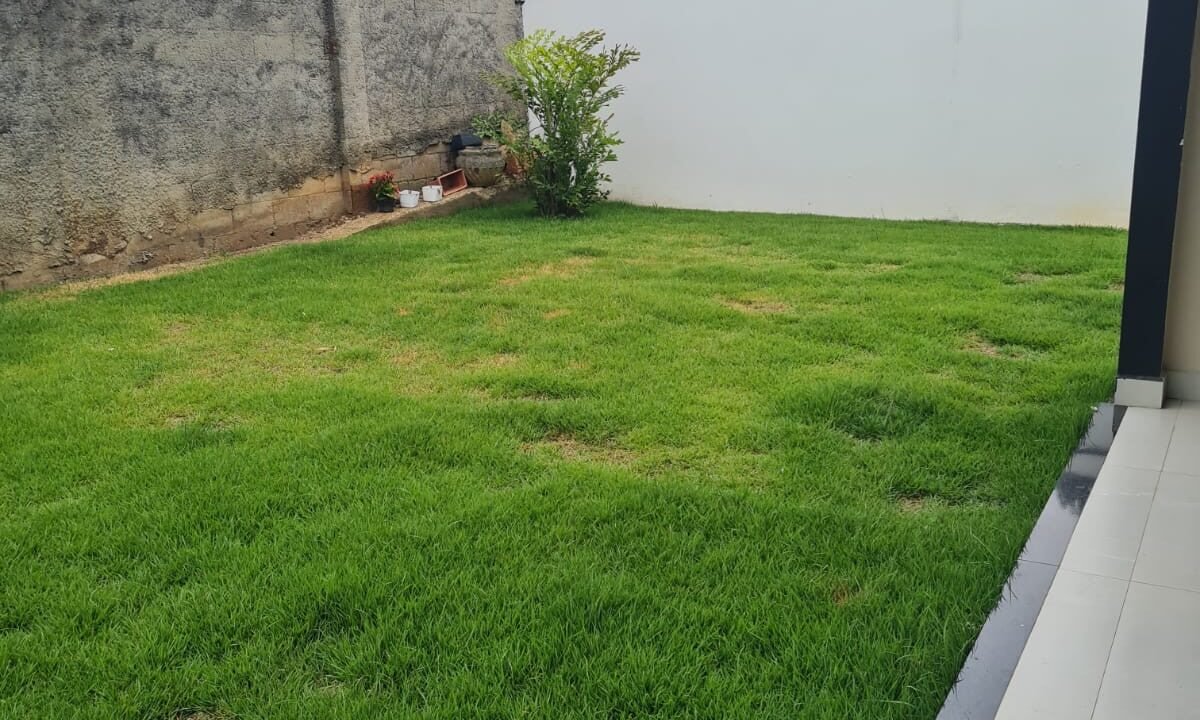 d3ee7e83-03c4-47de-9c20-e34e303ada74