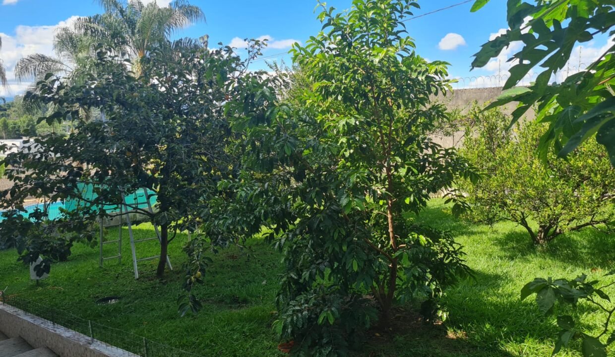 WhatsApp Image 2026-02-08 at 23.35.18