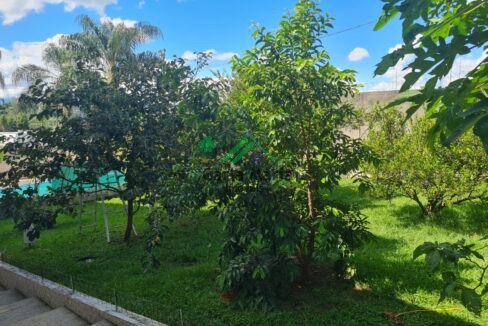 WhatsApp Image 2026-02-08 at 23.35.18